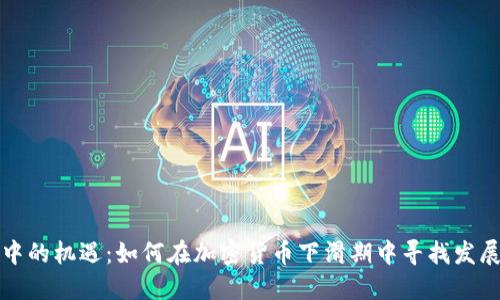 熊市中的机遇：如何在加密货币下滑期中寻找发展之路