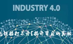 手机TP钱包链接打不开？揭