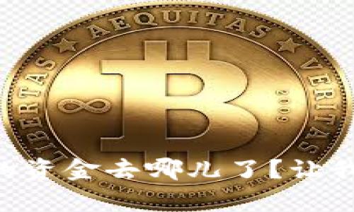 转入TP钱包的资金去哪儿了？让我们揭开真相！