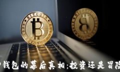 TP钱包的幕后真相：投资还