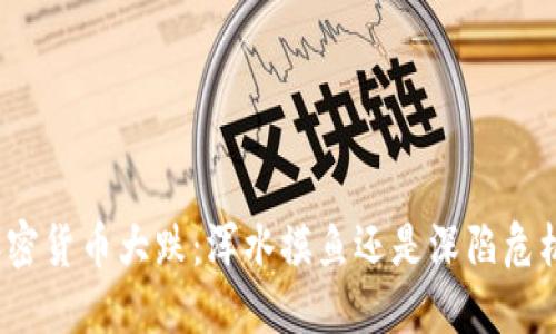 加密货币大跌：浑水摸鱼还是深陷危机？
