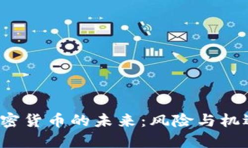 图一：加密货币的未来：风险与机遇的斗争