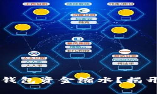 为何你的TP钱包资金缩水？揭开背后的真相