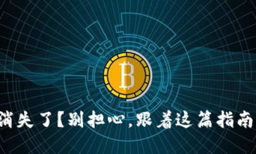 你的TP钱包空投币消失了？别担心，跟着这篇指南找回属于你的资产！