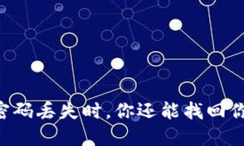 当你的TP钱包密码丢失时，你还能找回你的数字资产吗？