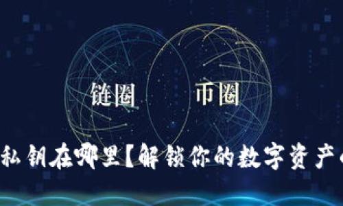 TP钱包私钥在哪里？解锁你的数字资产的秘密！