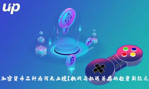 加密货币品种为何无止境？挑战与机遇并存的投资新纪元