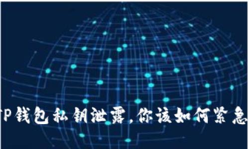 如果TP钱包私钥泄露，你该如何紧急应对？