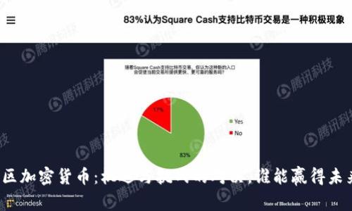 社区加密货币：机遇与挑战的对决，谁能赢得未来？