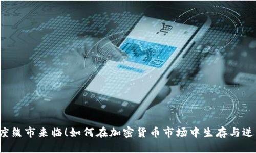 深度熊市来临！如何在加密货币市场中生存与逆袭？
