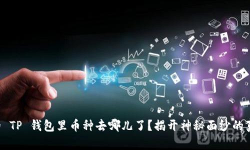 你的 TP 钱包里币种去哪儿了？揭开神秘面纱的真相！