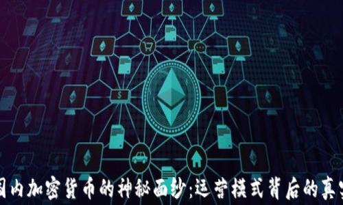 
揭开国内加密货币的神秘面纱：运营模式背后的真实故事