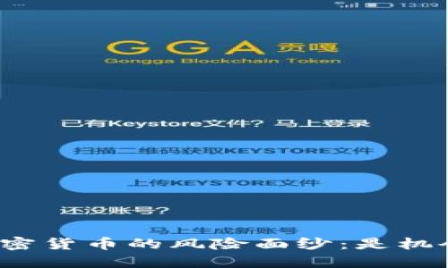 揭开美国加密货币的风险面纱：是机会还是隐患？