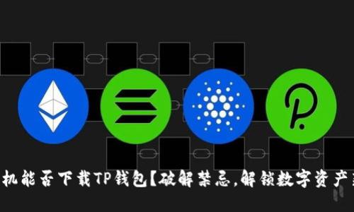 苹果手机能否下载TP钱包？破解禁忌，解锁数字资产新天地！