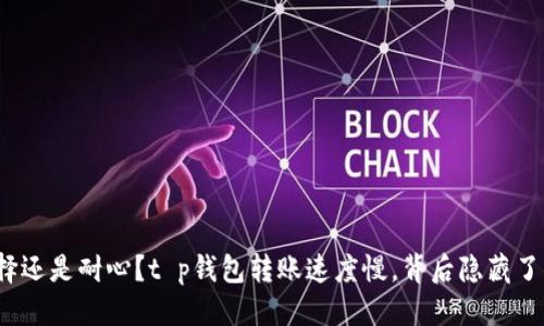 思考

是选择还是耐心？t p钱包转账速度慢，背后隐藏了什么？