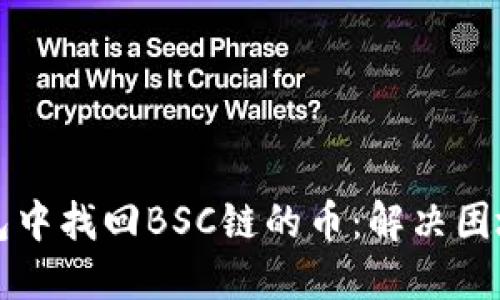 如何在TP钱包中找回BSC链的币：解决困境的终极指南