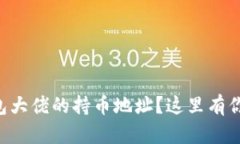 想知道TP钱包大佬的持币地