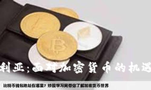 在尼日利亚：面对加密货币的机遇与挑战
