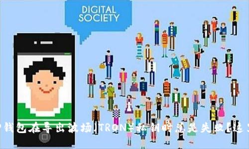 为什么你的TP钱包在导出波场（TRON）私钥时总是失败？这里是解决方案！