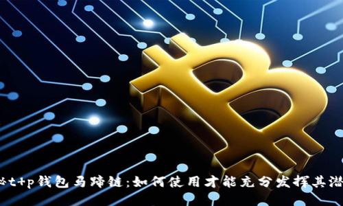探秘t p钱包马蹄链：如何使用才能充分发挥其潜力？