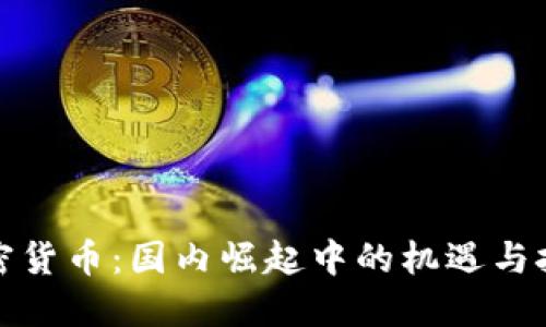 加密货币：国内崛起中的机遇与挑战