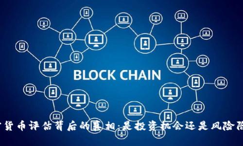 加密货币评估背后的真相：是投资机会还是风险陷阱？