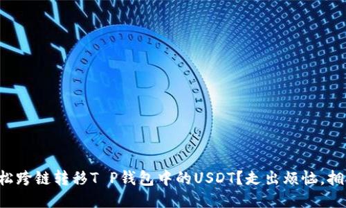 如何轻松跨链转移T P钱包中的USDT？走出烦恼，拥抱便捷！