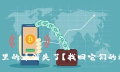 你的TP钱包里的币消失了？