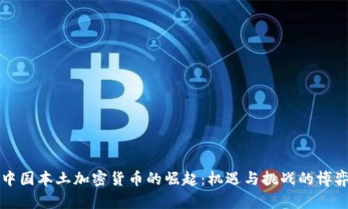 中国本土加密货币的崛起：机遇与挑战的博弈