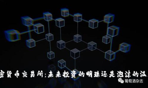 加密货币交易所：未来投资的明珠还是泡沫的温床？