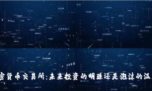 加密货币交易所：未来投资的明珠还是泡沫的温床？