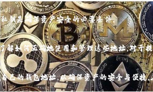 t p钱包地址可以自己设置吗/t
TP钱包, 钱包地址, 自定义设置/guanjianci

概述：什么是TP钱包？
TP钱包，作为一种新兴的数字货币钱包，正在吸引越来越多的用户。对于很多人来说，使用TP钱包就如同在互联网世界里拥有了一把钥匙，它可以打开通往数字资产管理的大门。然而，围绕着钱包地址的设置，用户常常会有一些疑问。因此，我们需要深入探讨TP钱包的特性以及是否可以自定义钱包地址。

TP钱包地址的基本概念
在了解是否可以自定义TP钱包地址之前，首先需要清楚什么是钱包地址。简单来说，钱包地址就是数字货币转账和接收的唯一标识。它通常由一串字符组成，类似于银行账户号码，确保资金的发送和接收可以安全无误。每个钱包地址都是与区块链网络直接相关联的，确保资产的安全和透明。

钱包地址的生成方式
TP钱包在用户创建钱包的时候，系统会自动为每个用户生成一个独一无二的钱包地址。这一过程是完全自动化的，用户并不能直接干预或修改这一地址的构成。这样设计的初衷是为了确保每个地址的唯一性和安全性，避免了因地址重复或冲突导致的资金损失。

自定义钱包地址的可能性
很多用户会想，既然生成好的地址是系统自动生成的，那当然就不可以更改。但是，根据用户的使用需求和体验，市场上也出现了一些允许用户自定义钱包地址的方案。这些方案通常比较复杂，涉及到如何通过智能合约来实现特定规则下的地址自定义。

挑战与风险
虽然自定义钱包地址听起来很便利，但也伴随着一些挑战和潜在的风险。首先，自定义地址的复杂性可能会导致用户的理解障碍，尤其是对区块链技术不够熟悉的用户来说。其次，理论上，用户自己设置的地址可能会增加错误产生的几率，造成资产的丢失。

安全性的重要性
无论采用哪种方式生成钱包地址，安全性始终是用户最为关心的问题。选择一个值得信赖的钱包软件至关重要，用户应该关注TP钱包的安全性和口碑。在数字货币的世界里，保护好自己的钱包地址和私钥是确保资产安全的必要条件。

如何管理和使用你的TP钱包地址
虽然TP钱包的地址是自动生成的，无法自定义，但用户仍可以通过一些方式来管理和使用自己的钱包。用户可以选择将多个钱包地址进行关联，或使用标签来标识不同的地址，方便转账和记录。同时，了解如何正确地使用和管理这些地址，对于提升用户体验有着显著的健全作用。

总结
在当前的TP钱包使用环境下，用户并不能自己设置钱包地址。钱包地址的自动生成机制虽然降低了出错的几率，但也带来了自定义选择的缺失。用户在使用TP钱包时，应该了解如何安全地管理和使用自己的钱包地址，以确保资产的安全与便捷。在未来，随着区块链技术的不断演进，自定义钱包地址的可能性或许会逐渐成为现实。不过在此之前，选择一个安全的TP钱包和了解其中的运作机制，才是每一位数字货币用户都应该认真对待的事情。