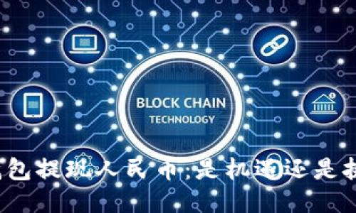 TP钱包提现人民币：是机遇还是挑战？