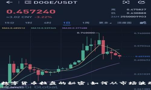 揭开加密数字货币拉盘的秘密：如何从市场波动中获益？