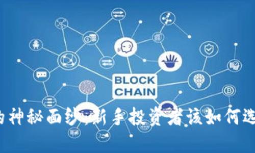 揭开加密货币的神秘面纱：新手投资者该如何选择合适的币种？