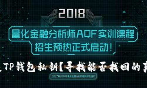 丢失TP钱包私钥？寻找能否找回的真相！