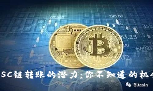 TP钱包BSC链转账的潜力：你不知道的机会与挑战