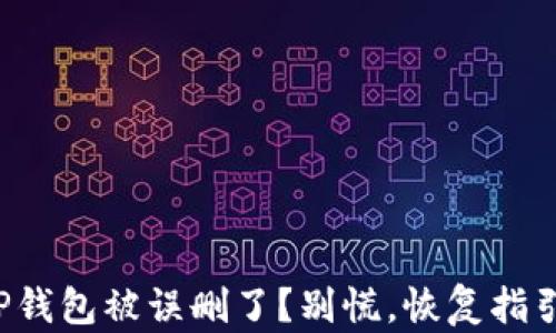 
你的TP钱包被误删了？别慌，恢复指引在此！