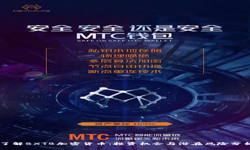 了解BXTB加密货币：投资机会与潜在风险分析