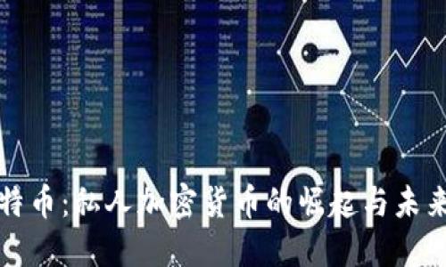 : 比特币：私人加密货币的崛起与未来展望