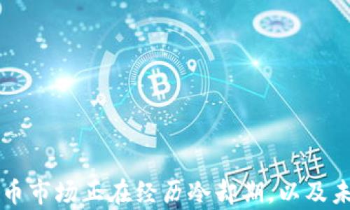 
为何加密货币市场正在经历冷却期，以及未来走向分析