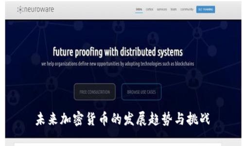 未来加密货币的发展趋势与挑战