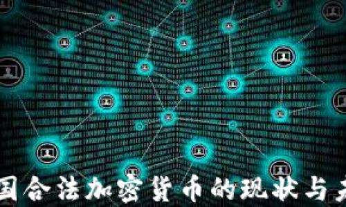 
中国合法加密货币的现状与未来