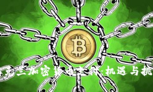 乌克兰加密货币支付：机遇与挑战