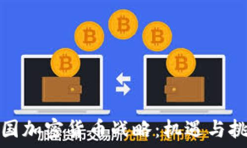   
中国加密货币战略：机遇与挑战