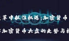 在时代变革中抓住机遇：加密货币大盘解析如何