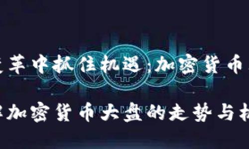 在时代变革中抓住机遇：加密货币大盘解析

如何理解加密货币大盘的走势与机会