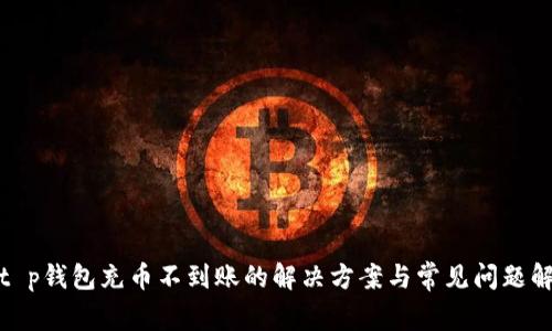 : t p钱包充币不到账的解决方案与常见问题解析