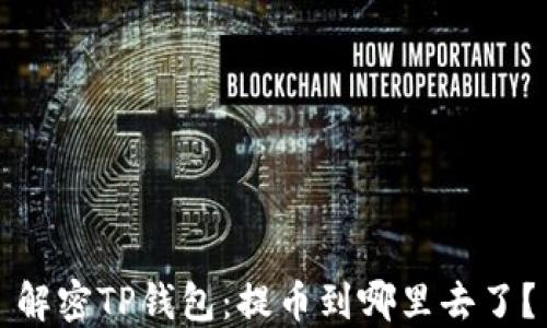 
解密TP钱包：提币到哪里去了？