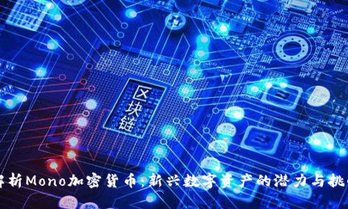 解析Mono加密货币：新兴数字资产的潜力与挑战
